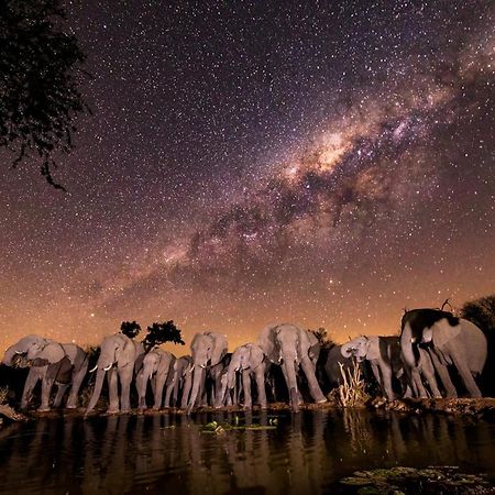 Antares Bush Camp & Umgede Hide Villa Grietjie Wildreservaat Buitenkant foto