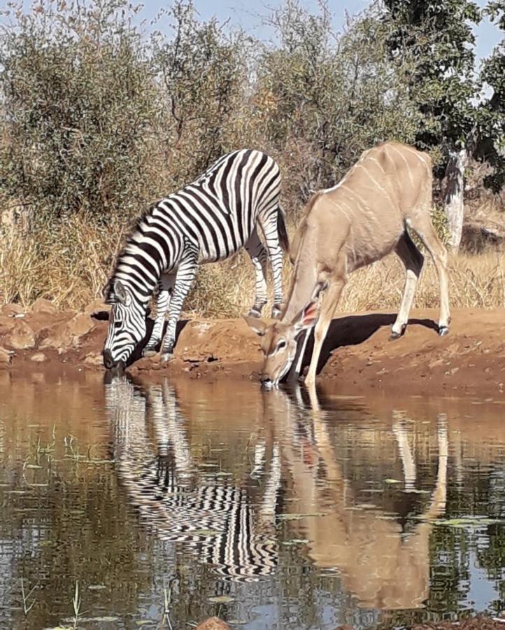 Antares Bush Camp & Umgede Hide Villa Grietjie Wildreservaat Buitenkant foto