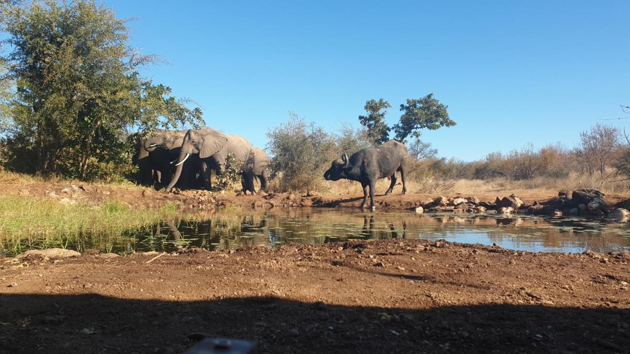 Antares Bush Camp & Umgede Hide Villa Grietjie Wildreservaat Buitenkant foto