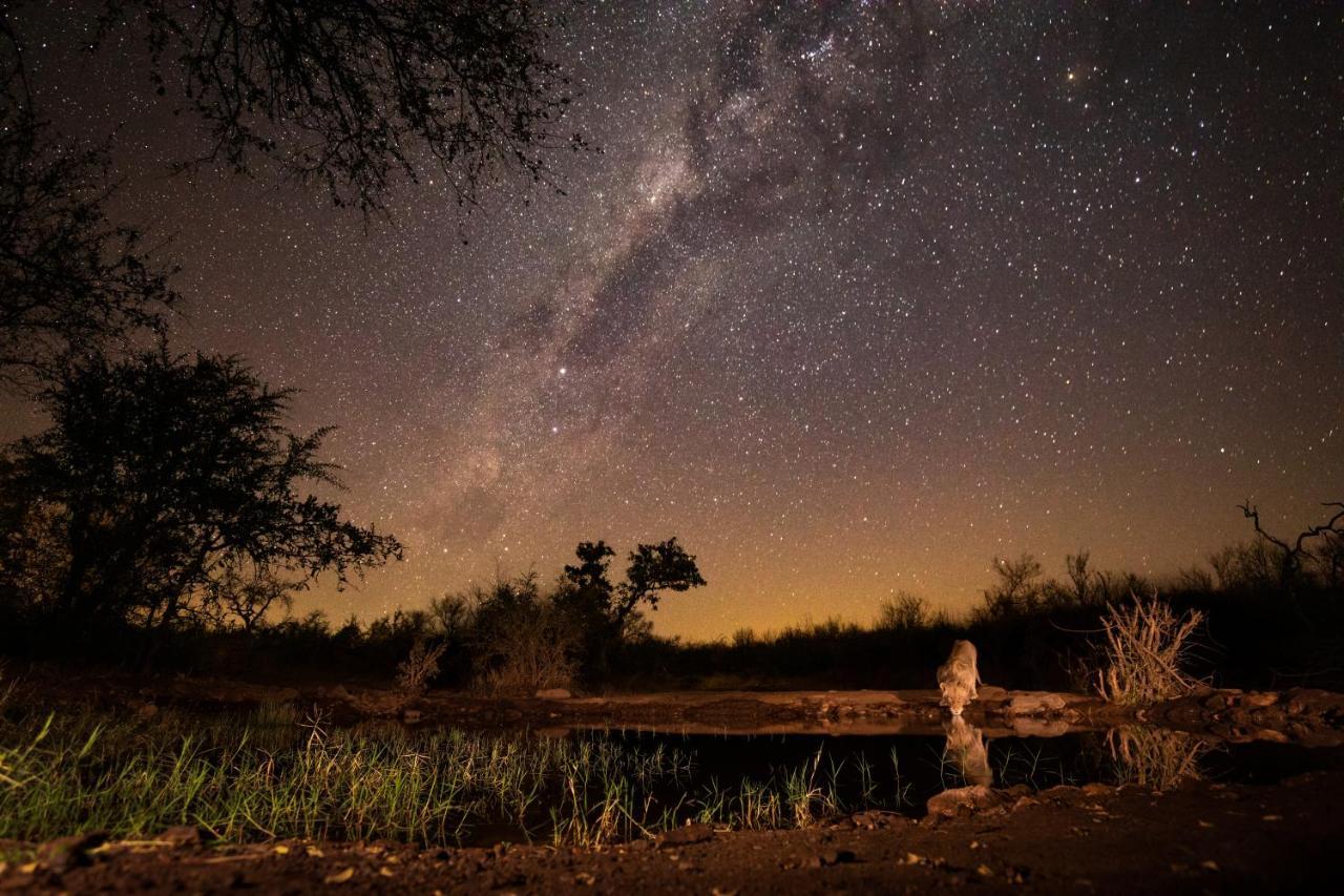 Antares Bush Camp & Umgede Hide Villa Grietjie Wildreservaat Buitenkant foto