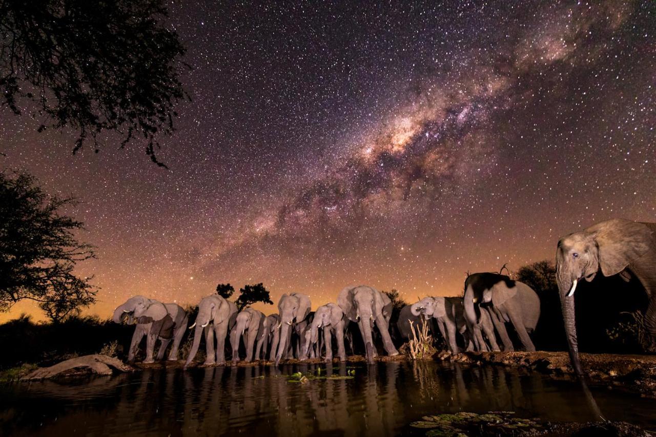 Antares Bush Camp & Umgede Hide Villa Grietjie Wildreservaat Buitenkant foto