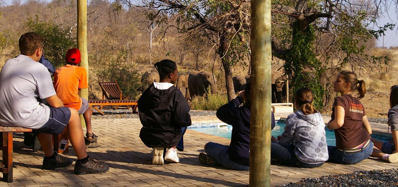 Antares Bush Camp & Umgede Hide Villa Grietjie Wildreservaat Buitenkant foto