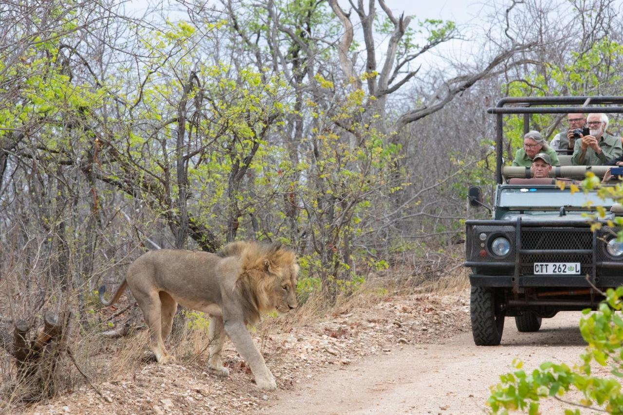 Antares Bush Camp & Umgede Hide Villa Grietjie Wildreservaat Buitenkant foto